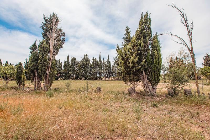 Foto a01f3915-d2c6-4676-b767-c339053a3fdd. Finca rústica a Aldea (L´)