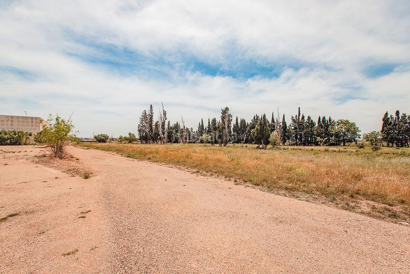 Foto a6ef5860-4e0b-4875-a6f6-69147935aef2. Finca rústica a Aldea (L´)