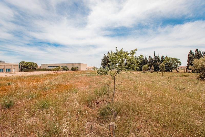 Foto ab1c63ac-13b4-431e-ba6f-3ee595b49502. Finca rústica a Aldea (L´)