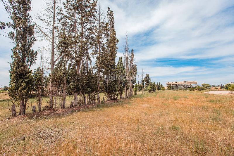 Foto ea024e4c-6271-4a6c-9ab8-82e49b6ec9ee. Finca rústica a Aldea (L´)