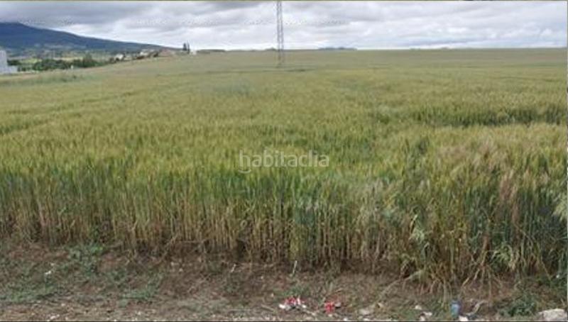 Foto 1672d9b1-ca78-4953-b91c-778f4f8ae708. Finca rústica a Galar