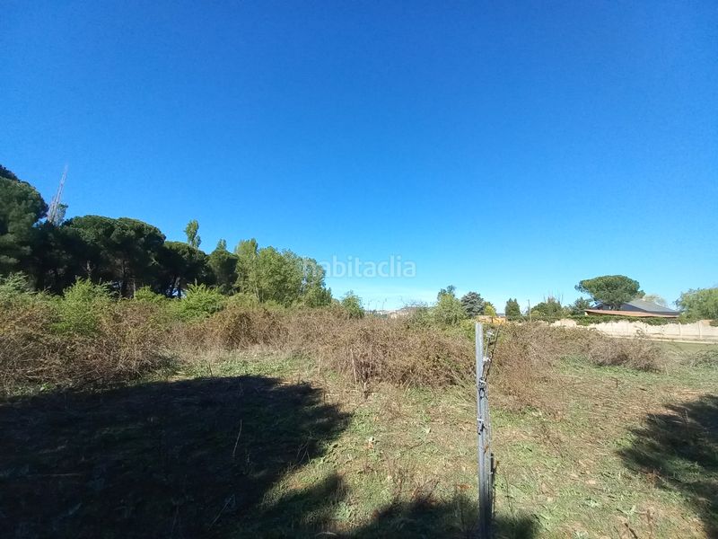 Foto 5932bf3f-c4f3-4552-8451-be897b91479e. Finca rústica a Simancas