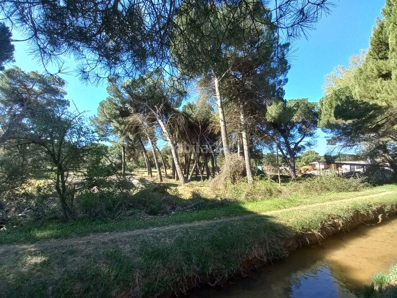 Foto 65cf9b47-705f-4826-a3e2-9724dcdd8133. Finca rústica a Simancas