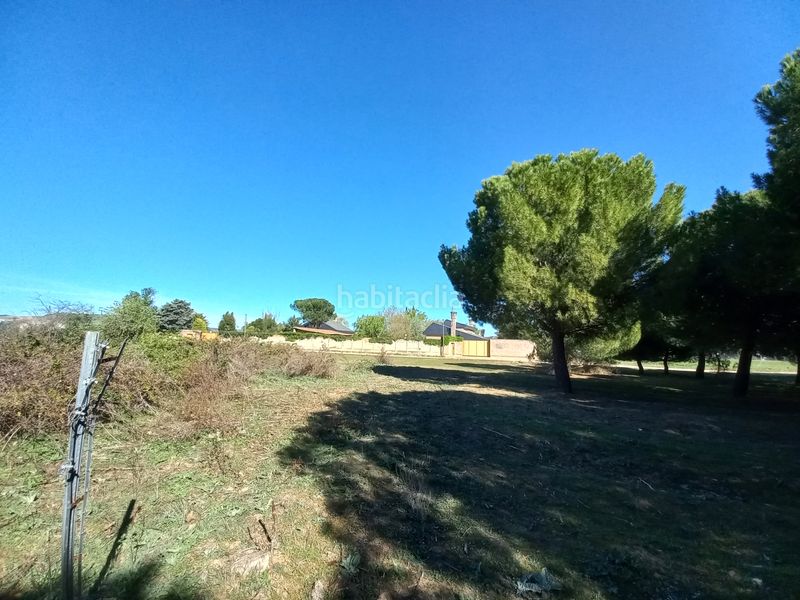 Foto 720dd68a-5b53-49e5-8a04-71b55e9d63a8. Finca rústica a Simancas