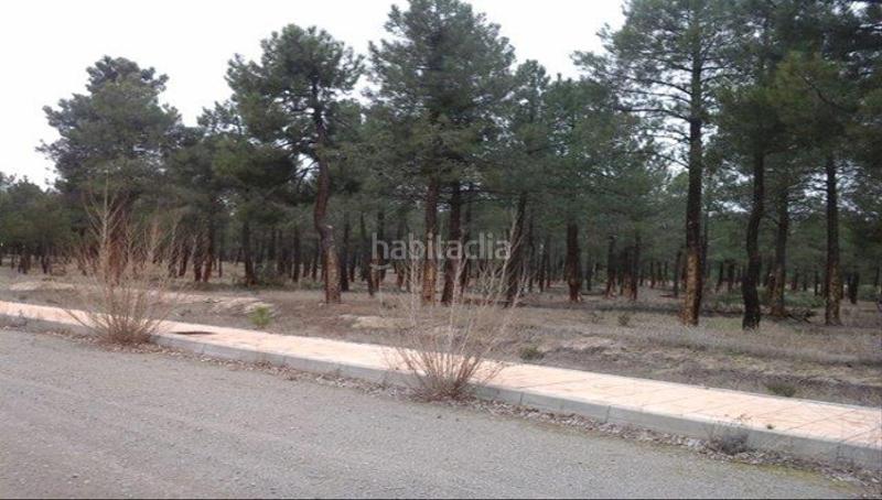 Foto e6b82636-dae6-4869-840b-179a1cc92f22. Finca rústica solvia inmobiliaria suelo rústico en Villanueva de Gómez