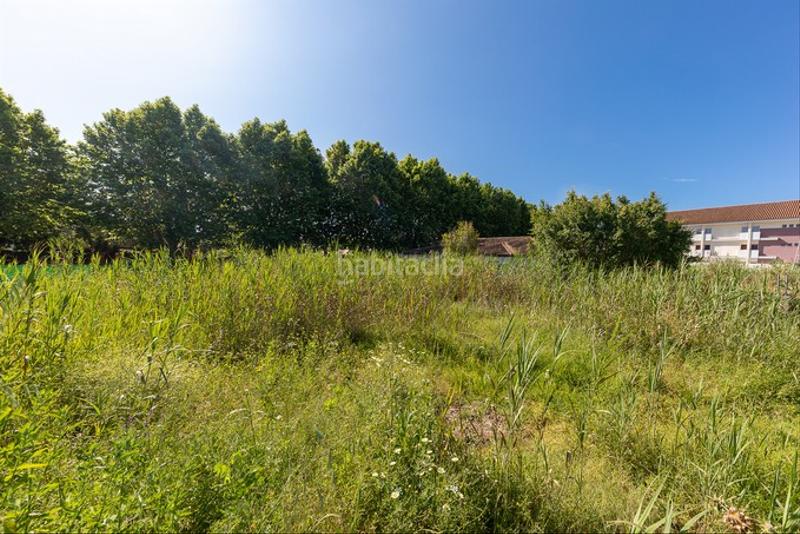 Foto 1bf609d7-6b26-4837-ab99-a952122ce703. Finca rústica solvia inmobiliaria solares barrios los en Barrios (Los)