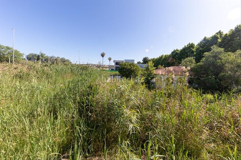 Foto 6aa1174c-97fc-4e64-a963-e067b60f5de0. Finca rústica solvia inmobiliaria solares barrios los en Barrios (Los)