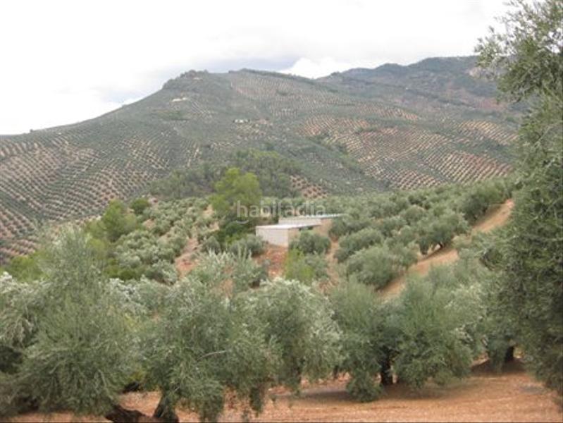 Foto 5a04e298-f78e-4a88-9882-af8a1a9fef79. Finca rústica solvia inmobiliaria suelo rústico en Villacarrillo