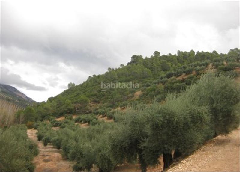 Foto aa638269-1dea-4be1-8925-c76c98784eaf. Finca rústica solvia inmobiliaria suelo rústico en Villacarrillo
