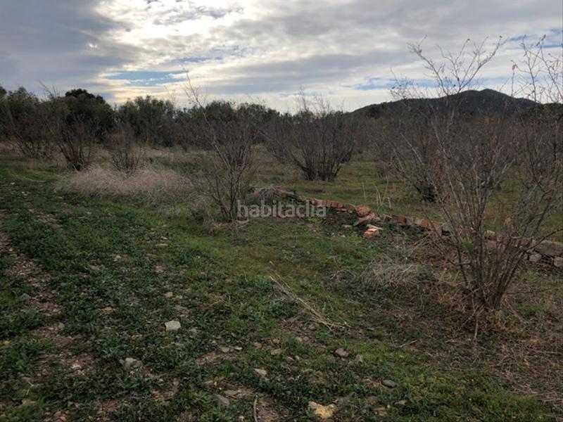 Foto a3ed7620-28a2-45a1-a377-7bd9587388f1. Fondo rustico in Botarell