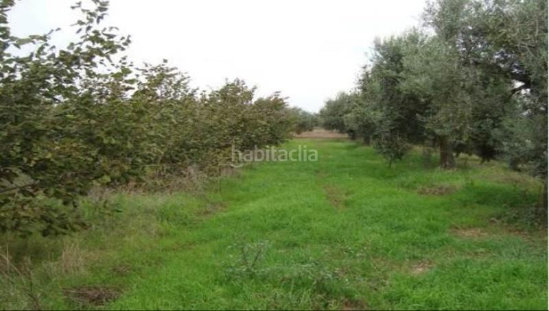 Foto b4b3a8ab-13b6-4394-9113-900a308b25f9. Fondo rustico in Botarell