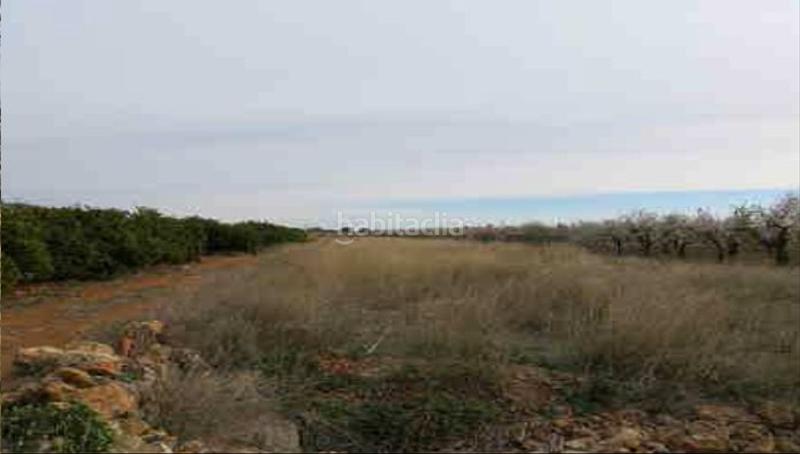 Foto 01c7924f-9be8-4ce5-8abb-c220499c5f37. Finca rústica a Torreblanca