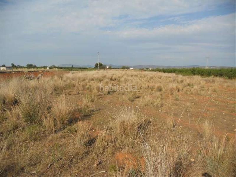 Foto 375abc5f-eef2-47fd-bd4f-94fb947febf3. Finca rústica a Torreblanca