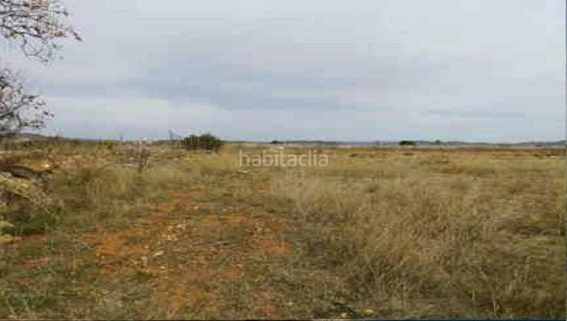 Foto f0988155-29ea-42c6-93ab-b3a72065e91e. Finca rústica a Torreblanca