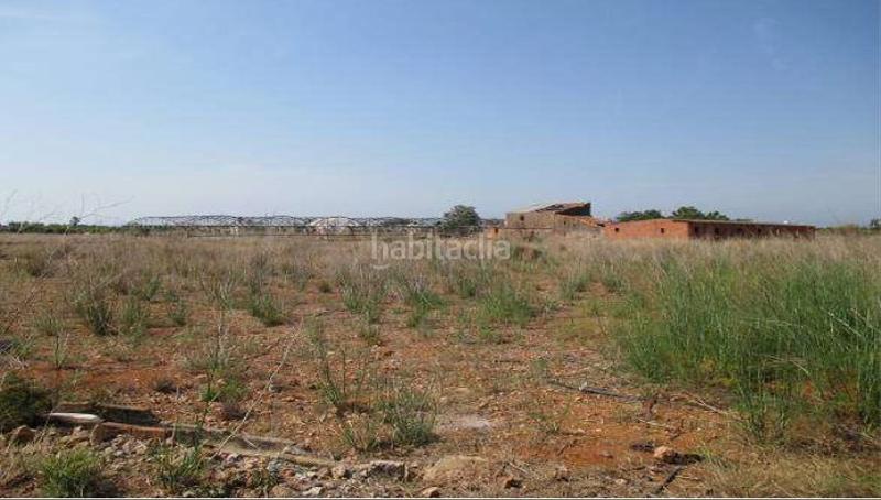 Foto fe44b685-4742-47c5-a07a-b8885fe55077. Finca rústica a Torreblanca