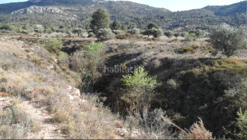 Foto 1eae57be-2046-43a6-8ae7-0a63b304b549. Finca rústica solvia inmobiliaria suelo rústico en Villena