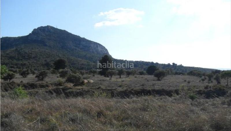 Foto 222a4789-0328-4ab1-a842-03821c7f977e. Finca rústica solvia inmobiliaria suelo rústico en Villena