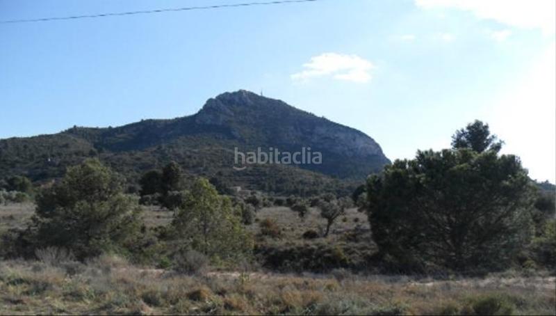 Foto 3db30da4-c5df-4e22-b4b1-28f76fb0ed5f. Finca rústica solvia inmobiliaria suelo rústico en Villena