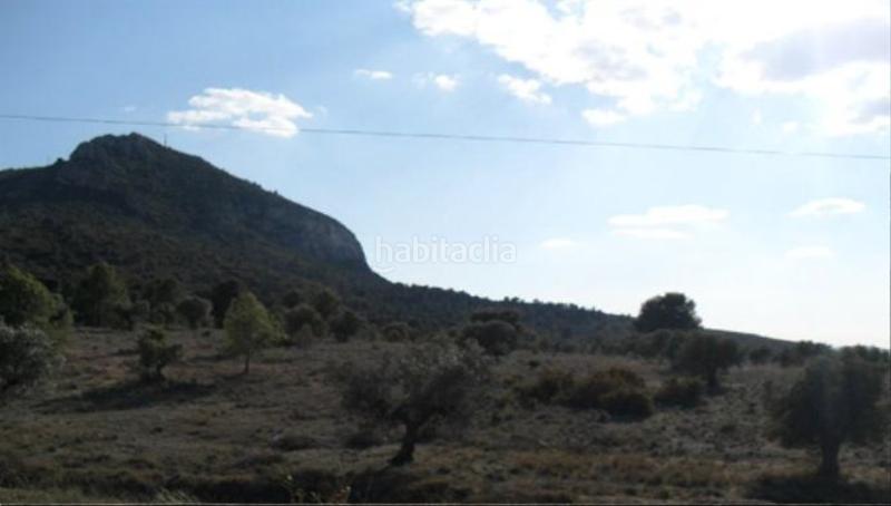 Foto aa97eb46-84ea-4e06-8570-b3fef657579f. Finca rústica solvia inmobiliaria suelo rústico en Villena