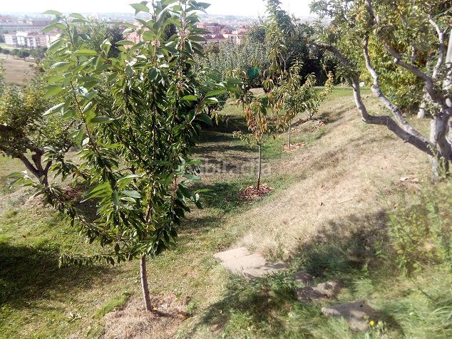 Foto f3abaa74-ca84-4e1e-8166-7df3c1de10d9. Finca rústica a San Esteban León