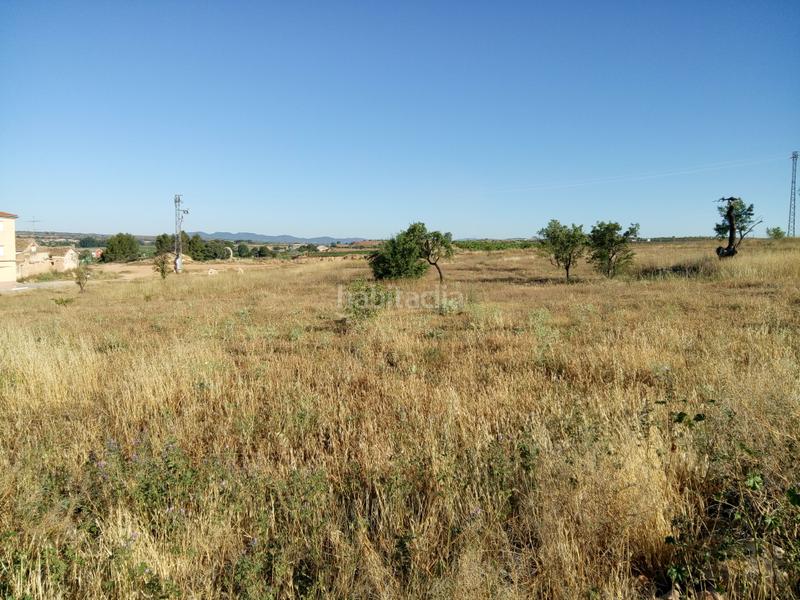 Foto 725c8786-921c-40ff-86e8-26a50b9fcb67. Finca rústica a Requena