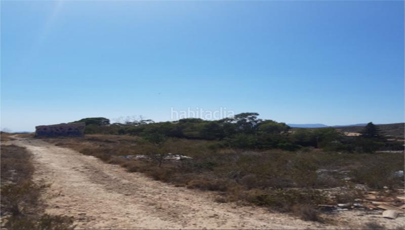 Foto a13b908a-ef56-4c7d-805d-8162f7842995. Finca rústica a Platja de Torres Vila Joiosa (la)