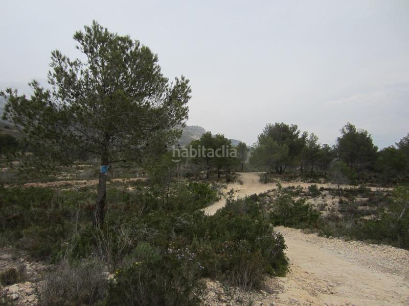 Foto 098d3c46-bb3d-466d-a9e6-50c51d3879b5. Finca rústica solvia inmobiliaria suelo rústico nucia la en Nucia (la)