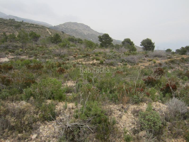 Foto 95f7823d-a70f-4829-843b-0ac89931a73d. Finca rústica solvia inmobiliaria suelo rústico nucia la en Nucia (la)