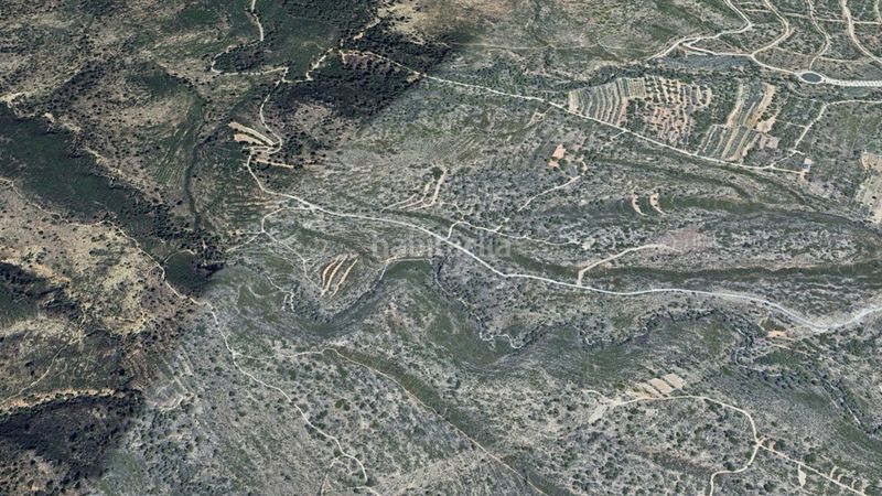 Foto abbe8cd2-7886-444d-a303-8caf274e46f3. Finca rústica a Coloma Nucia (la)