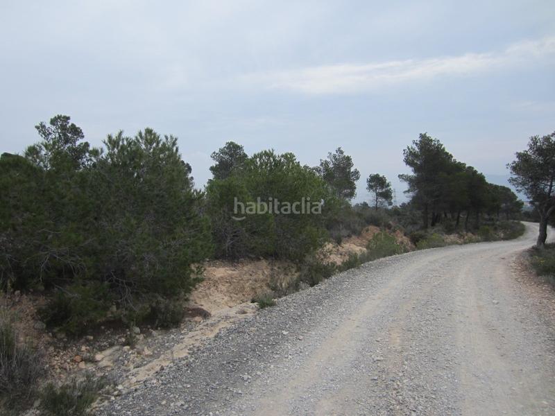 Foto b8ba8347-e519-4051-8647-1a9478a63014. Finca rústica solvia inmobiliaria suelo rústico nucia la en Nucia (la)