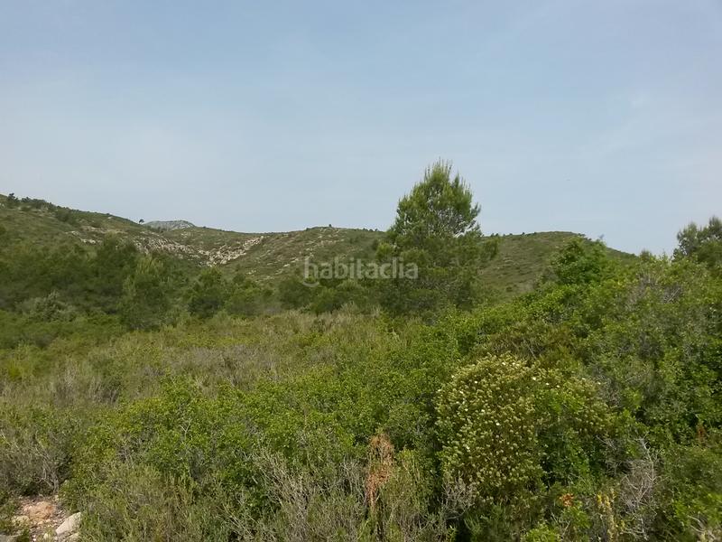 Foto e6db62f8-913b-4cc9-a1c4-d7a16d700027. Landgut in Pratdip