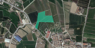 Finca rústica  C/ bassa bou. Solvia inmobiliaria  suelo urbanizable alamús els