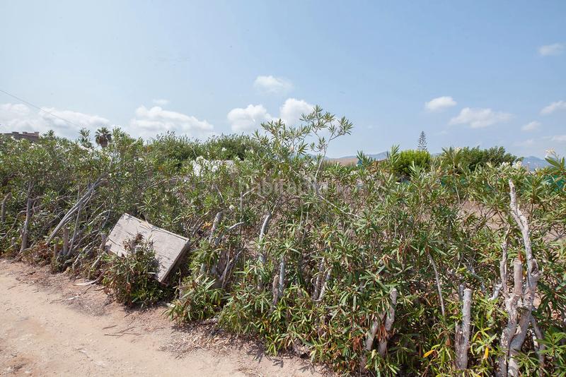 Foto 6d05e6d3-4c69-4aa3-82d4-3b44e81a117a. Finca rústica solvia inmobiliaria suelo urbanizable en Cullera