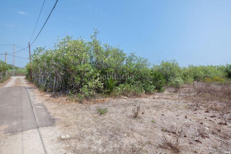 Foto 7d49e6b3-dfd9-41e1-ac72-ec45342e5c17. Finca rústica solvia inmobiliaria suelo urbanizable en Cullera