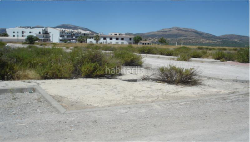 Foto af0a21ed-bcbb-4fc4-941a-0c4308ad8370. Fondo rustico in Iznalloz