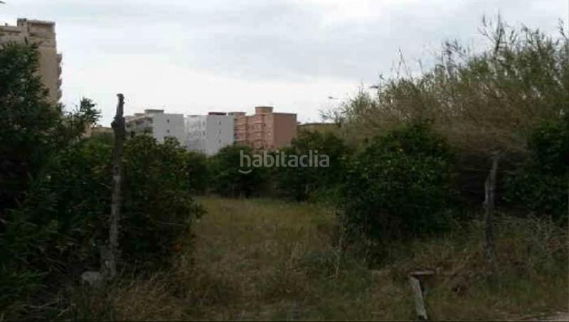 Foto 29a48279-d8c2-486f-9949-0a577ba23b0c. Finca rústica a Tavernes de la Valldigna