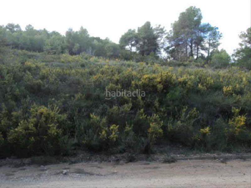 Foto 544a0fcc-7cdb-4421-a9b8-fc7f3e34de60. Rural plot in Montmell (El)