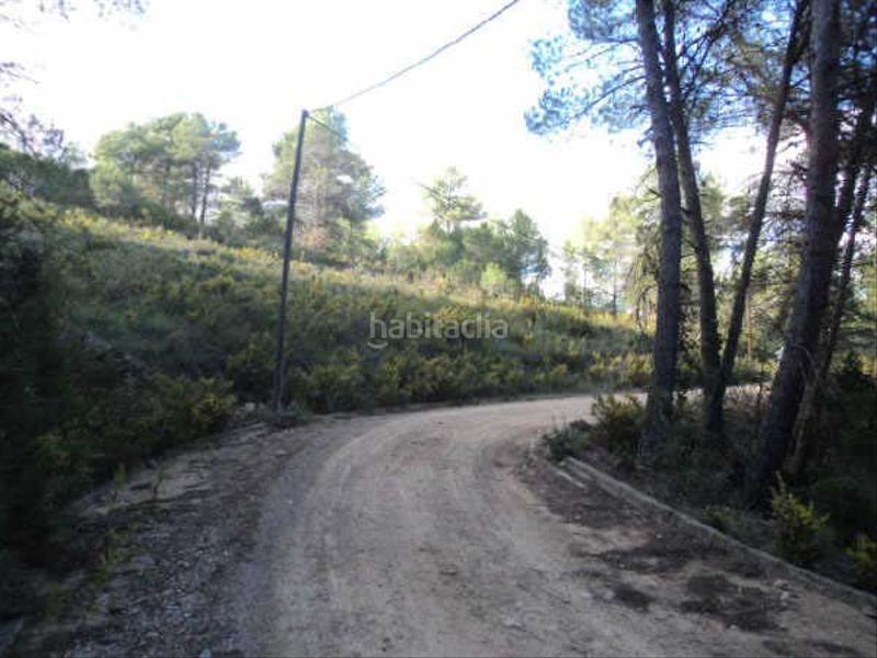 Foto 73cc3fa6-fa82-4627-836f-c95d079ee704. Rural plot in Montmell (El)