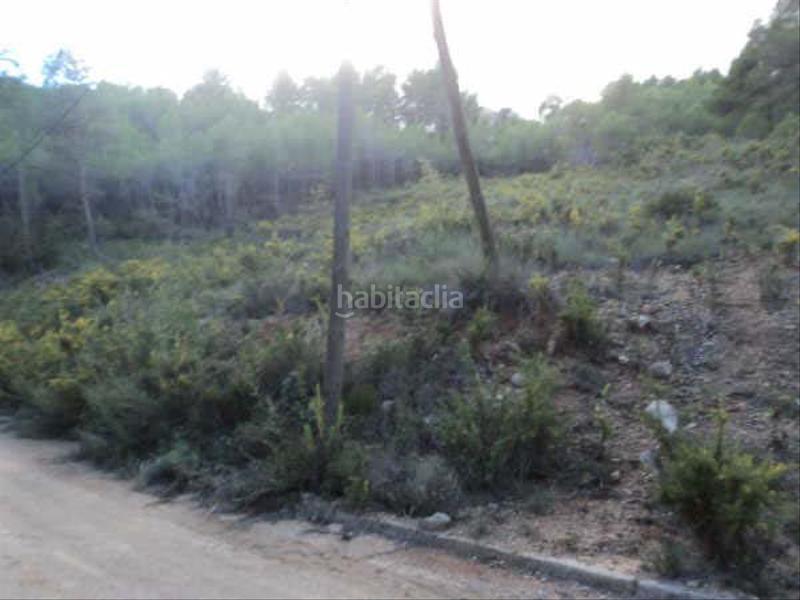 Foto 7d8c777a-8b43-473d-aea7-7816a2733fee. Rural plot in Montmell (El)