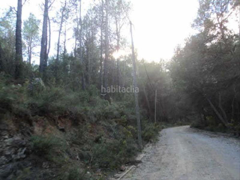 Foto 9f783682-1baf-41e7-8e8e-febc8c256f48. Rural plot in Montmell (El)