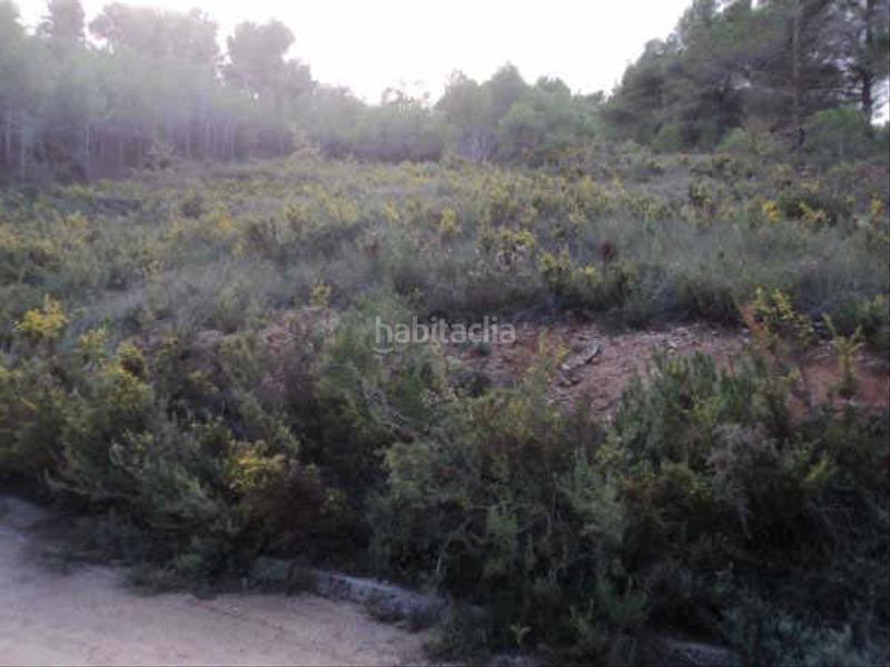 Foto e90c7b93-1c62-4a10-8cd1-be6497775a20. Rural plot in Montmell (El)