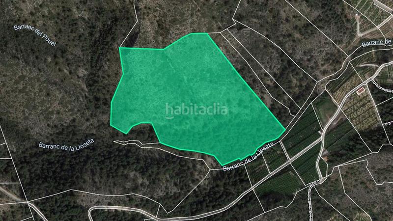 Foto 06e1bbc0-f7d5-49bb-8ab7-c9519642725b. Fondo rustico in Oliva playa Oliva