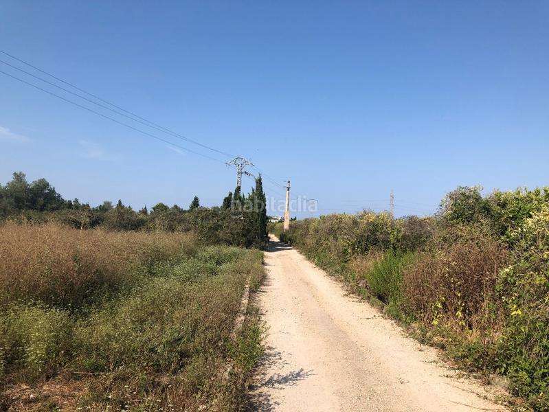 Foto 2ee70158-e34d-4ff4-b819-513d9bbc2cce. Fondo rustico in Oliva playa Oliva