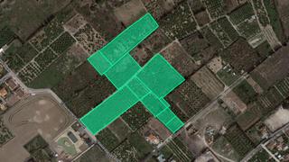 Finca rústica  Ptda cañades, pp sc camí al mar. Solvia inmobiliaria  suelo urbanizable no sectorizado oliva
