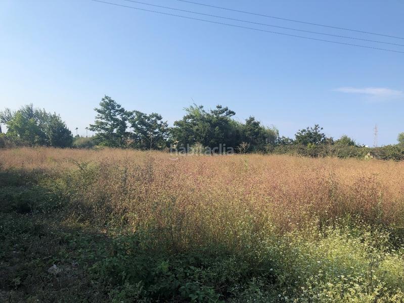 Foto 684eb115-70ba-49b0-bbfe-33372c38773d. Fondo rustico in Oliva playa Oliva