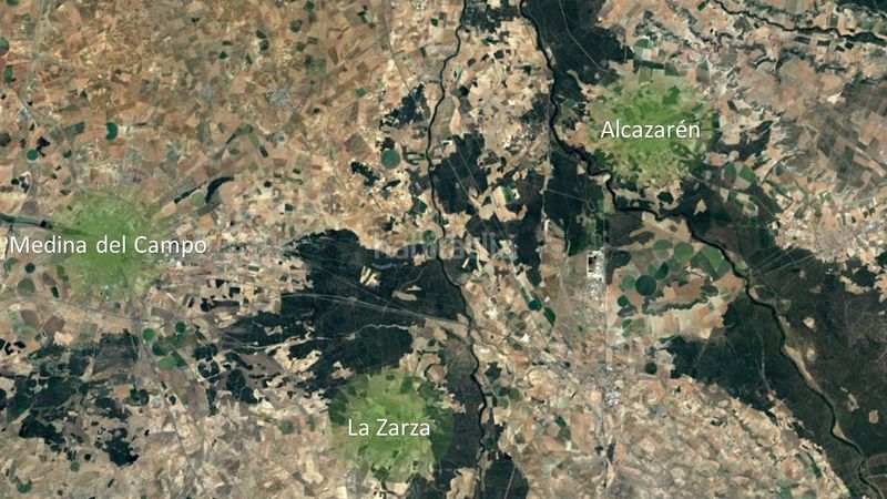 Foto af97f67b-1766-45a1-8d63-8b3f07ebbed9. Finca rústica a Zarza (La)