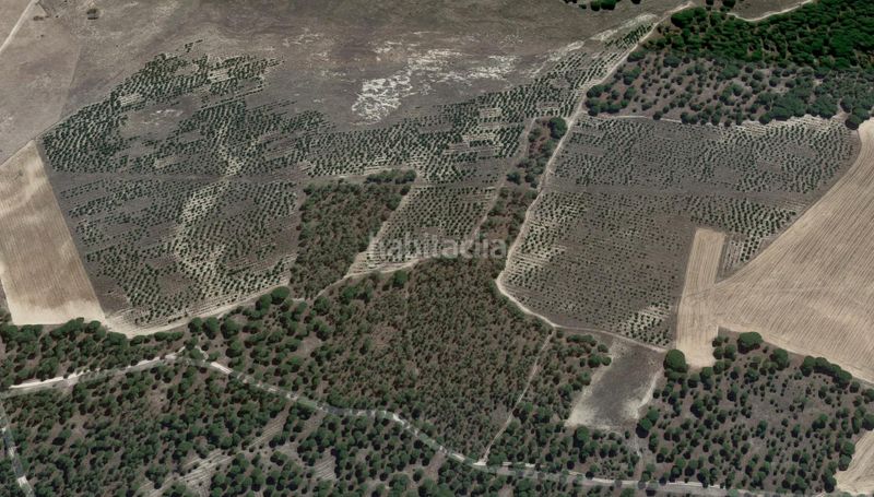 Foto e6e1b65f-9e15-417d-97ce-f8ef675af948. Finca rústica a Zarza (La)