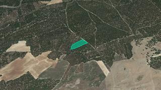 Finca rústica  Paraje aceras. Solvia inmobiliaria  suelo rústico zarza la