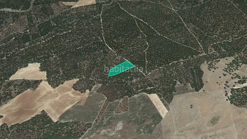 Foto f4045eee-f3a4-4005-bd4c-d8b96f623080. Finca rústica a Zarza (La)