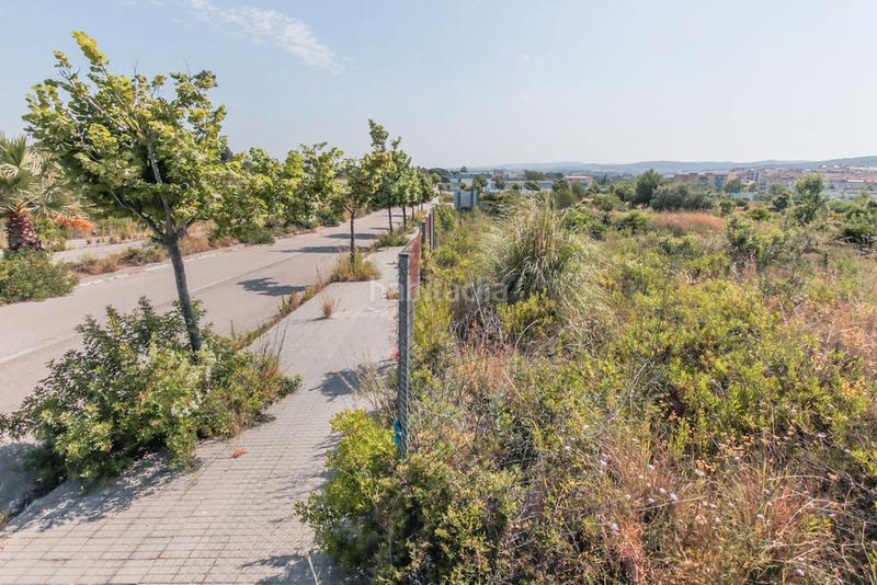 Foto 2b8d3154-76ff-4b53-8255-2372a49a4309. Finca rústica solvia inmobiliaria solares vendrell el en Vendrell (El)